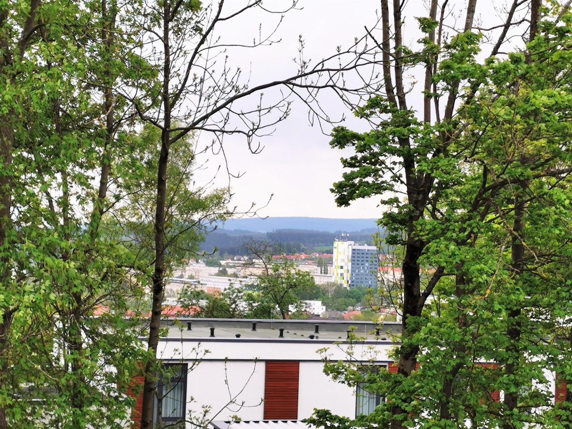 Bohnapartments - Stadtblick Zechenhaus - Balkon - Gratis Parkplatz - Wlan - Sehr Ruhig - Barrierearm Ilmenau Exteriér fotografie